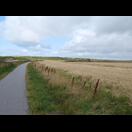 Die Düne, die den Nissum Fjord von der Nordsee trennt